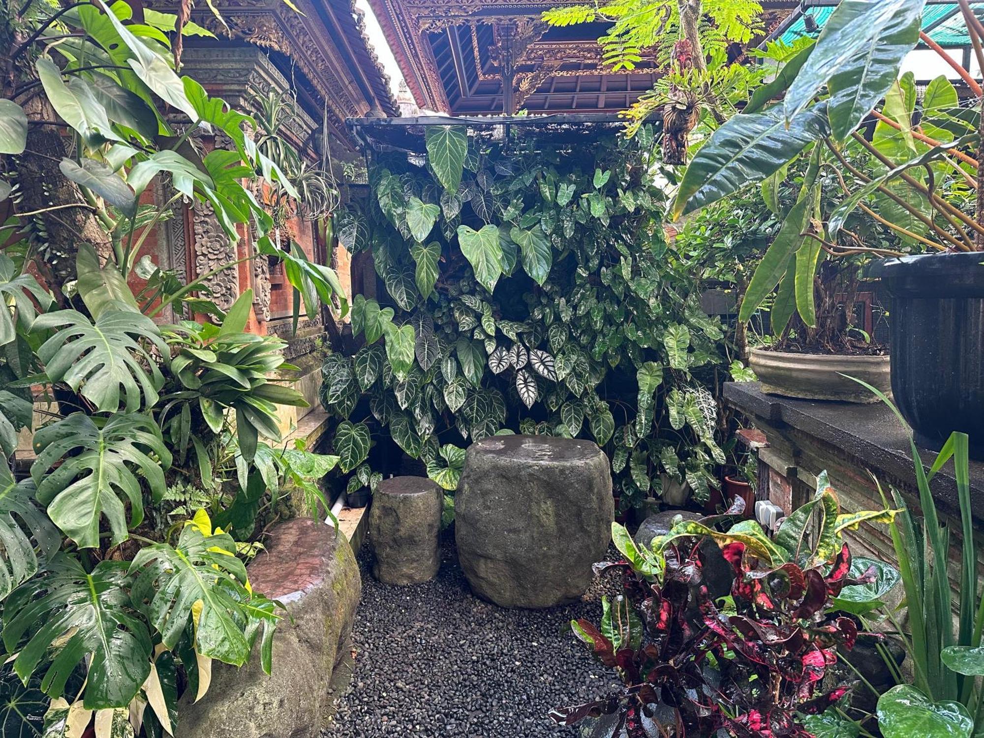Naeera Guest House 우붓 외부 사진