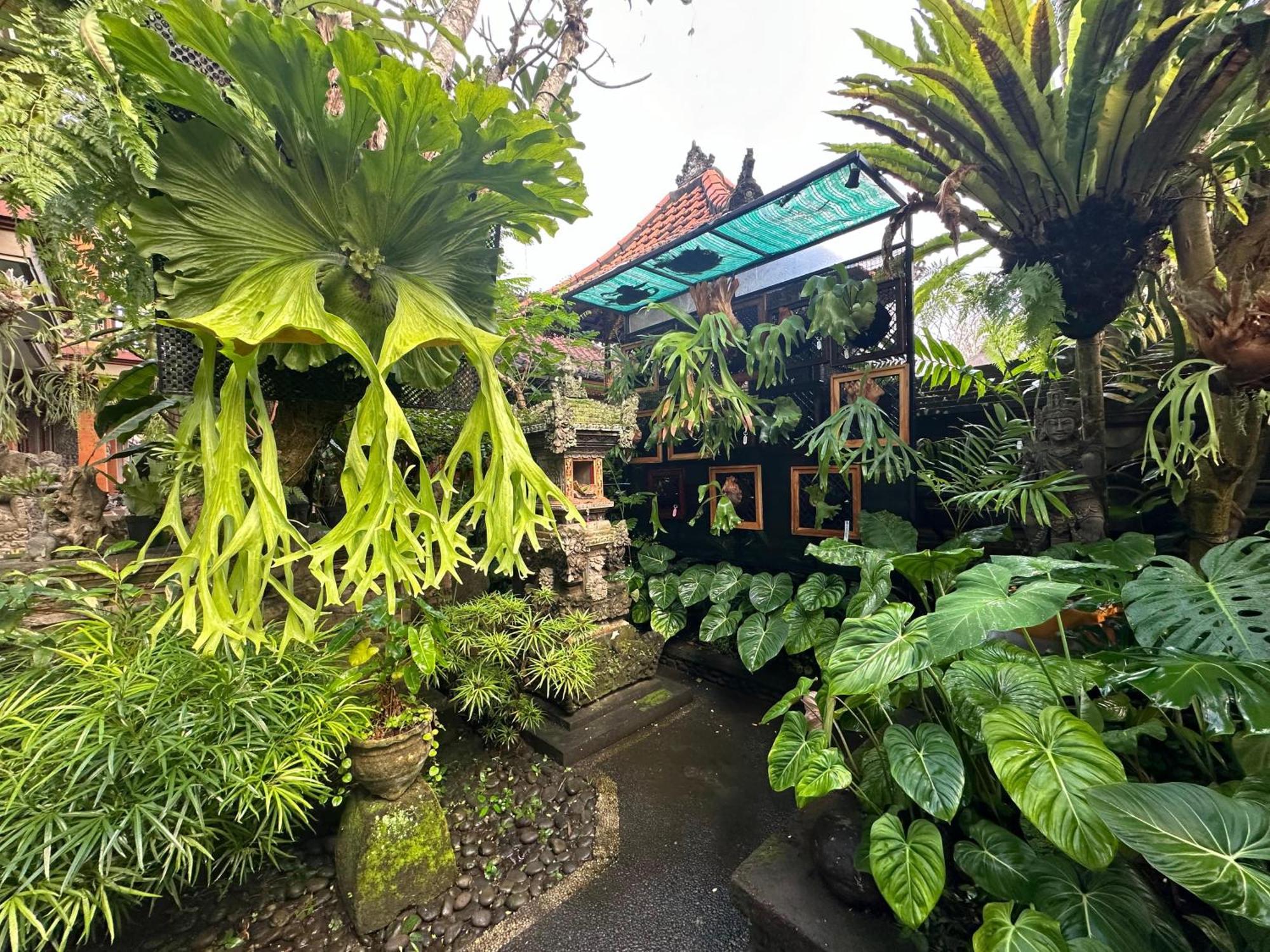 Naeera Guest House 우붓 외부 사진